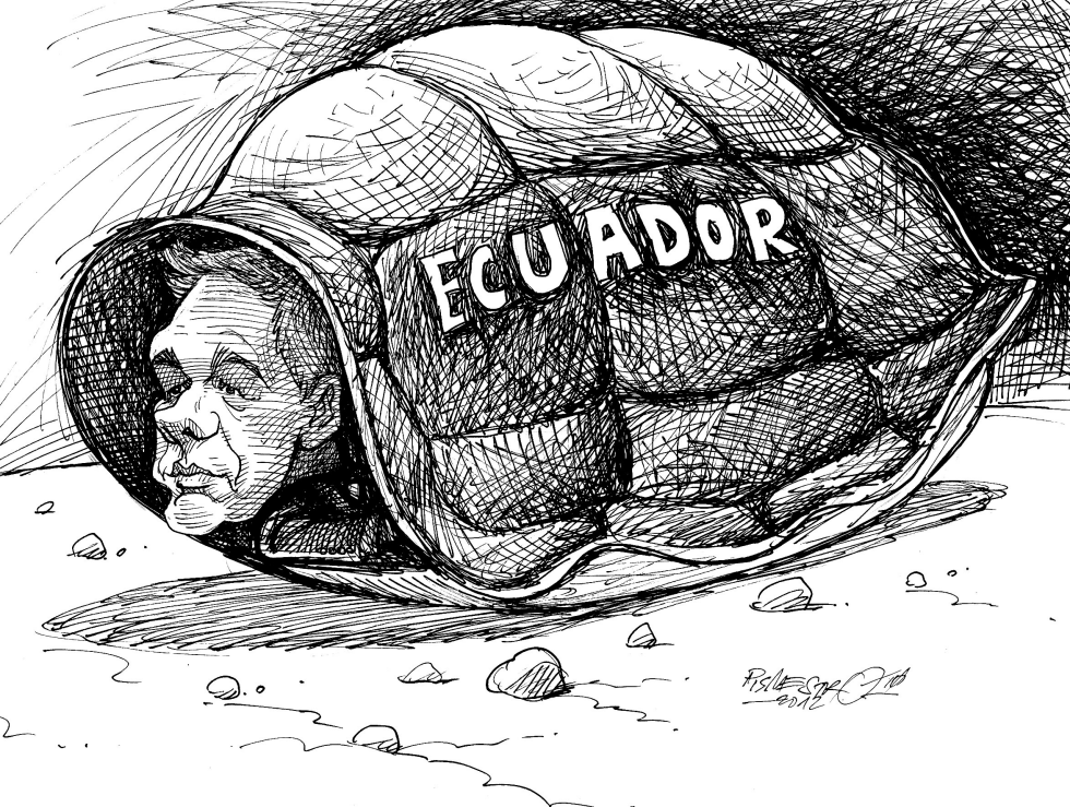 Escudo Protector