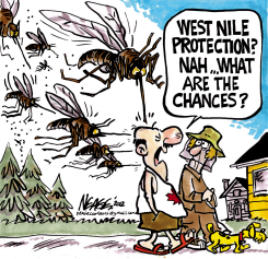 WEST NILE by Steve Nease