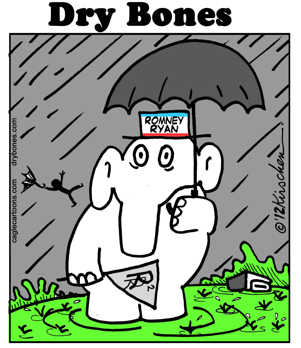 The Elephant and the Hurricane