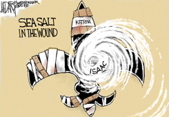 SEA SALT WOUNDS by Jeff Darcy