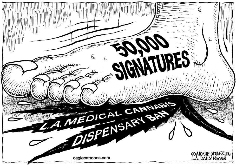 LOCAL-CA LA Medical Pot Ban Petition