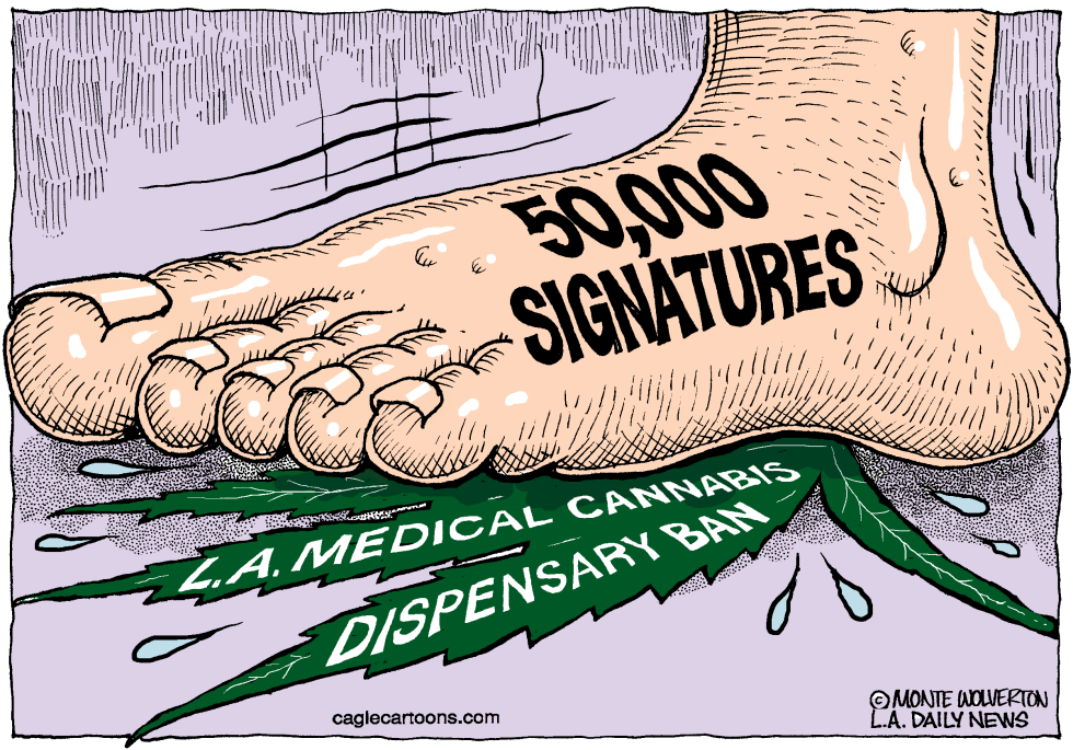 LOCAL-CA LA Medical Pot Ban Petition COLOR