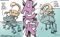 AFGHAN SCORPION  by Mike Keefe