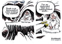 UNDECIDED VOTERS by Jimmy Margulies
