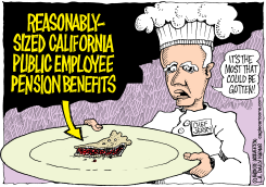 LOCAL-CA CALIF PENSION REFORM  by Monte Wolverton