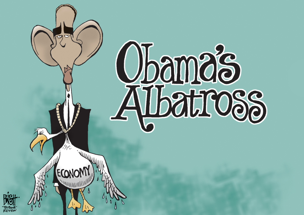 OBAMA'S ALBATROSS, COLOR