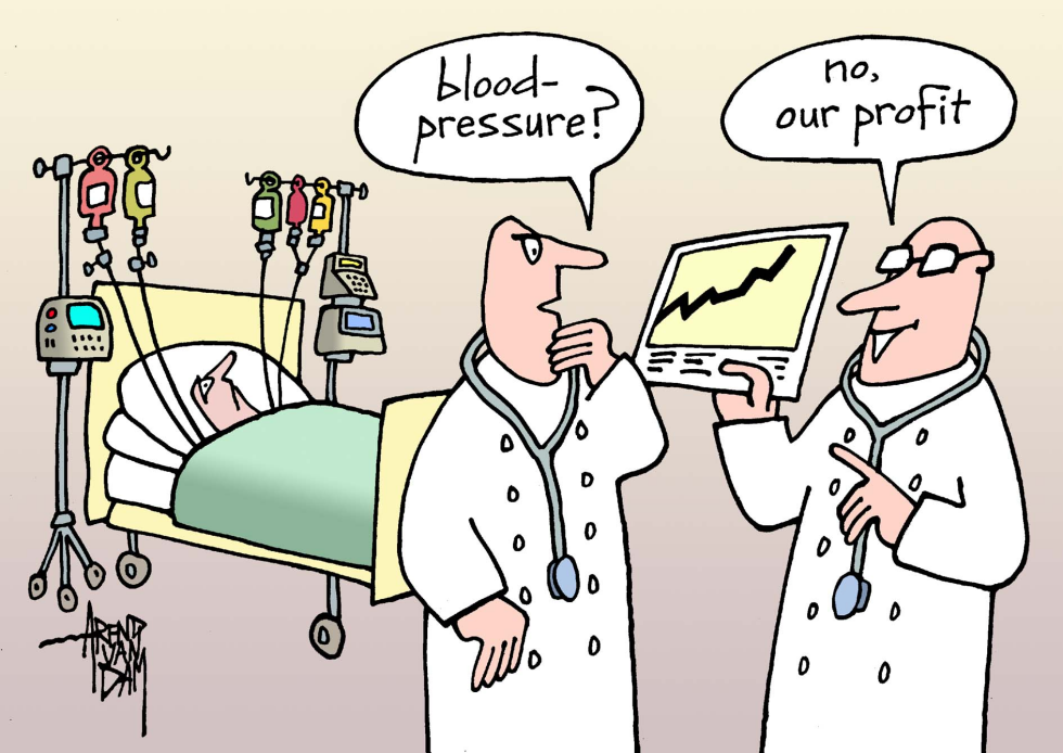 Healthcare and profit