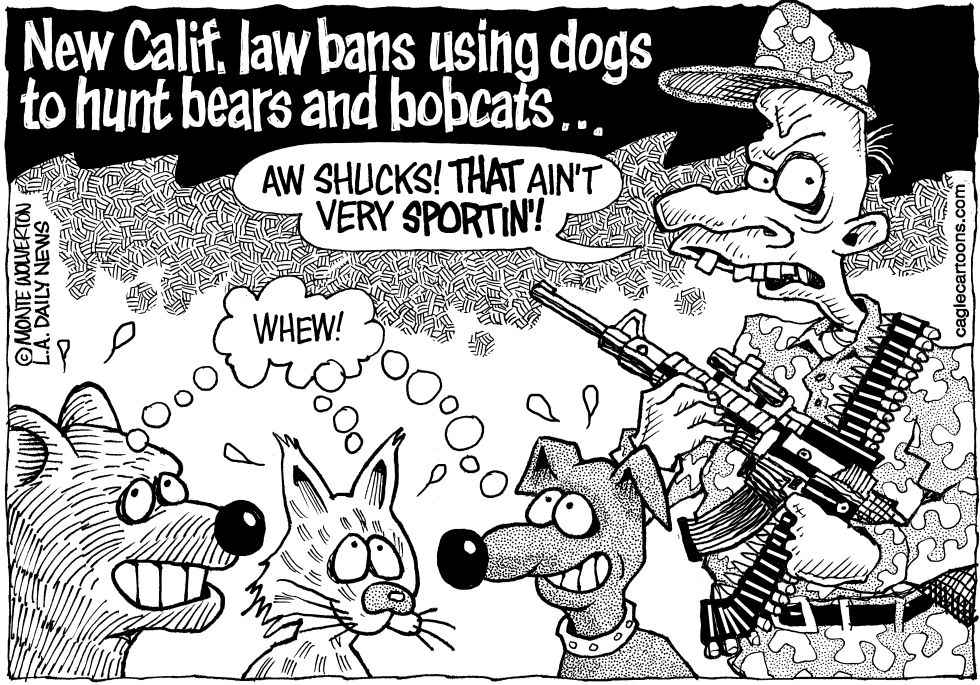 LOCAL-CA Dogs Bears and Bobcats