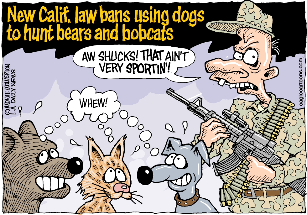  LOCAL-CA DOGS BEARS AND BOBCATS by Wolverton