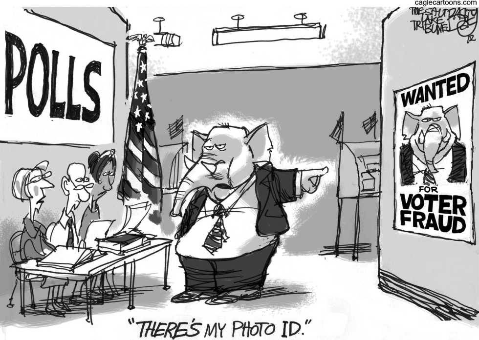 Real Vote Fraud