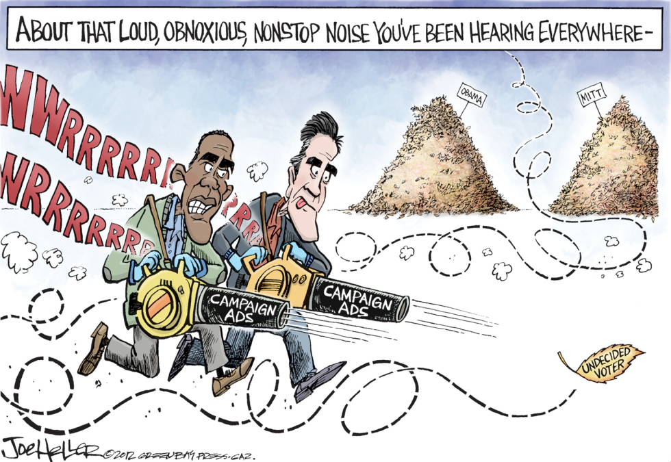 Undecided Voter