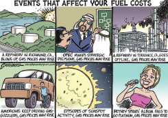 GAS PRICES RISE US by Steve Greenberg