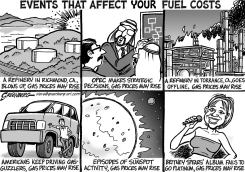 GAS PRICES RISE US BW by Steve Greenberg