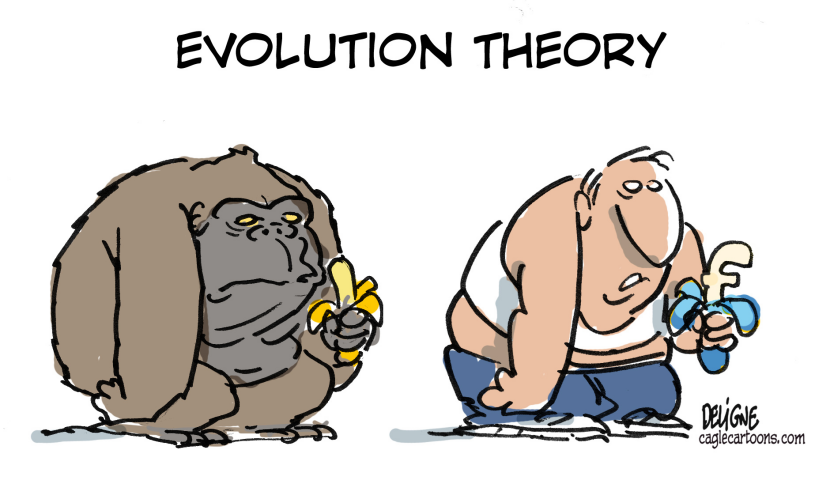 Evolution Theory and facebook