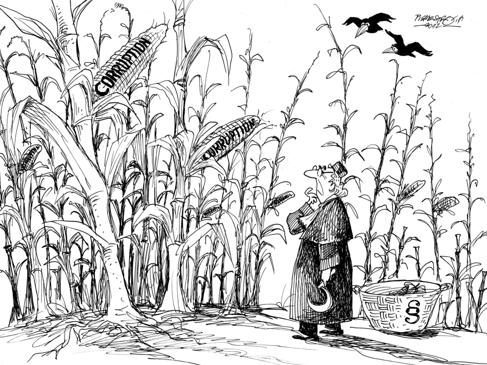 Corn field