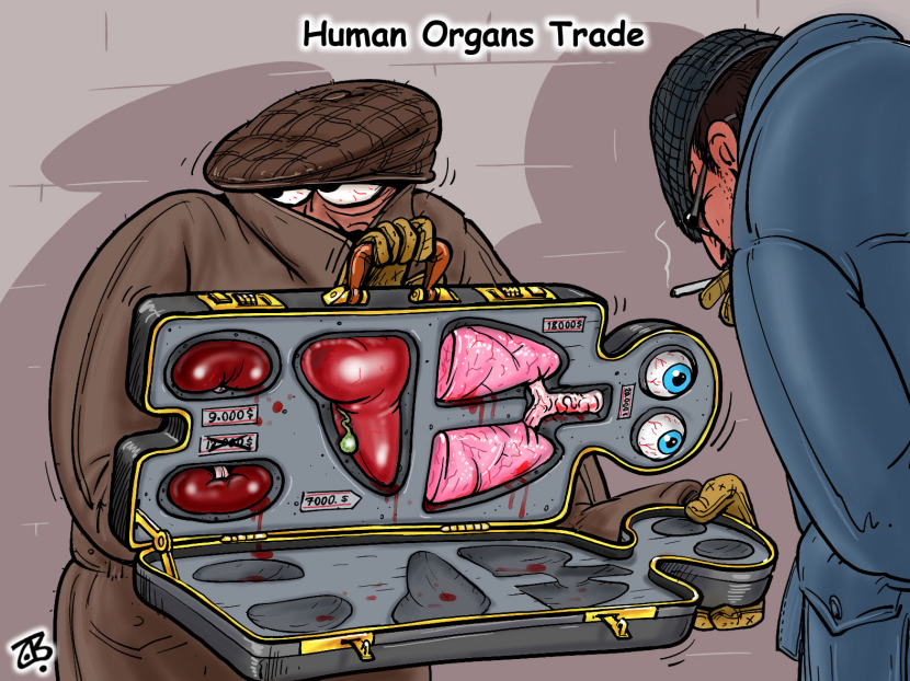 human organs trade