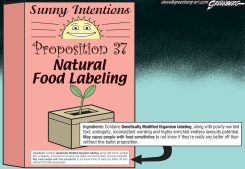 CALIF PROP 37 by Steve Greenberg