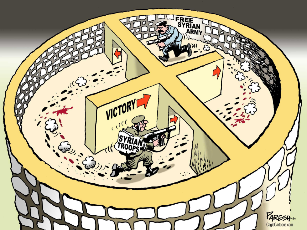  SYRIA SITUATION by Paresh Nath