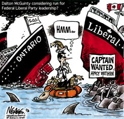 CAPTAIN WANTED by Steve Nease
