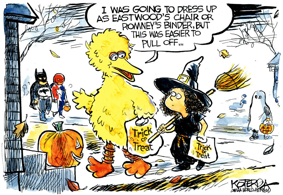 Big Bird Costume