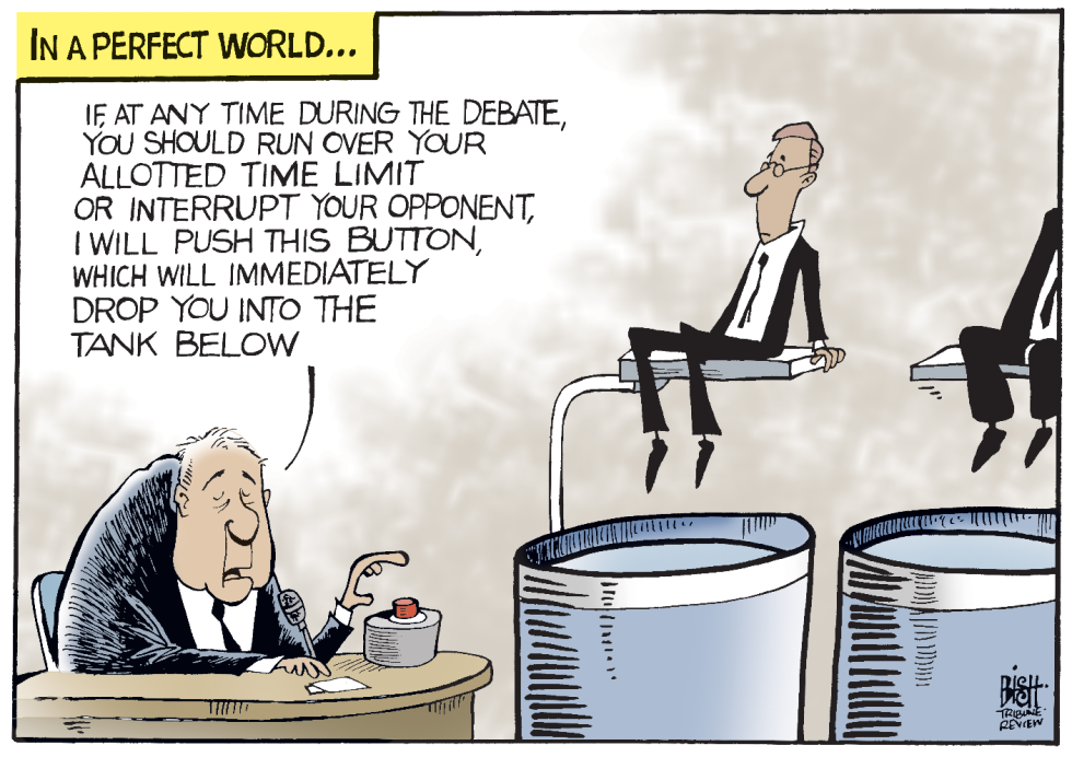 DEBATES IN A PERFECT WORLD, COLOR
