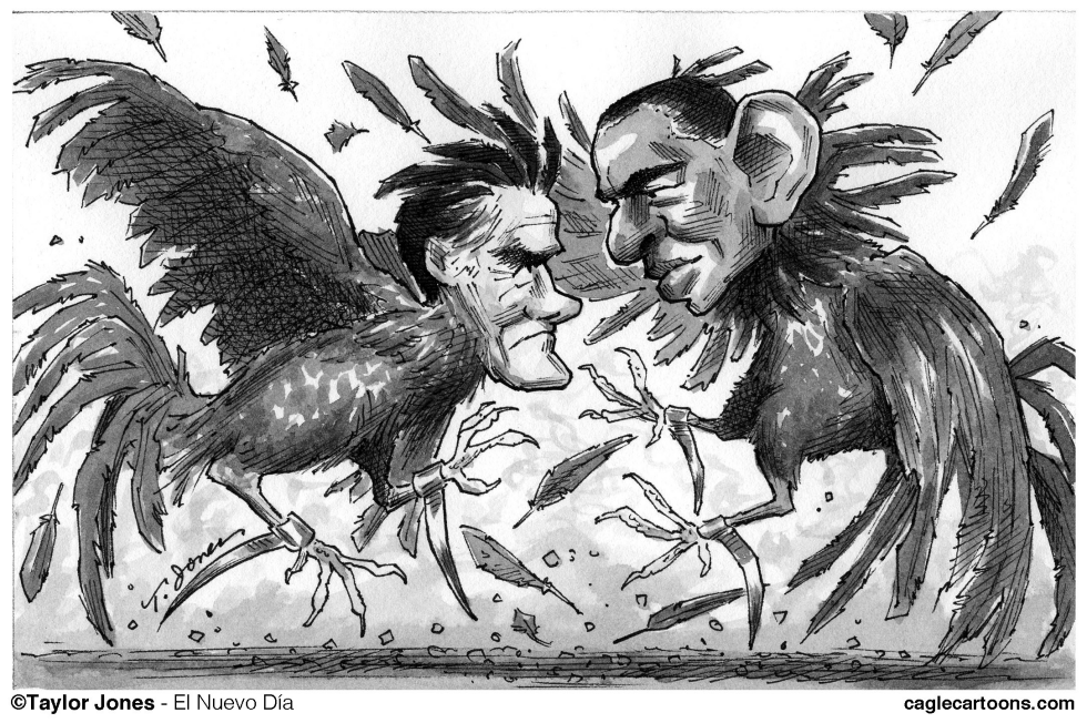 Pelea de Gallos