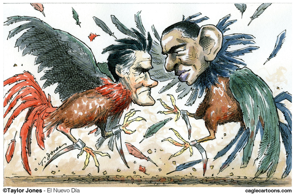 Pelea de Gallos - COLOR