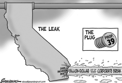CALIF PROP 39 BW by Steve Greenberg