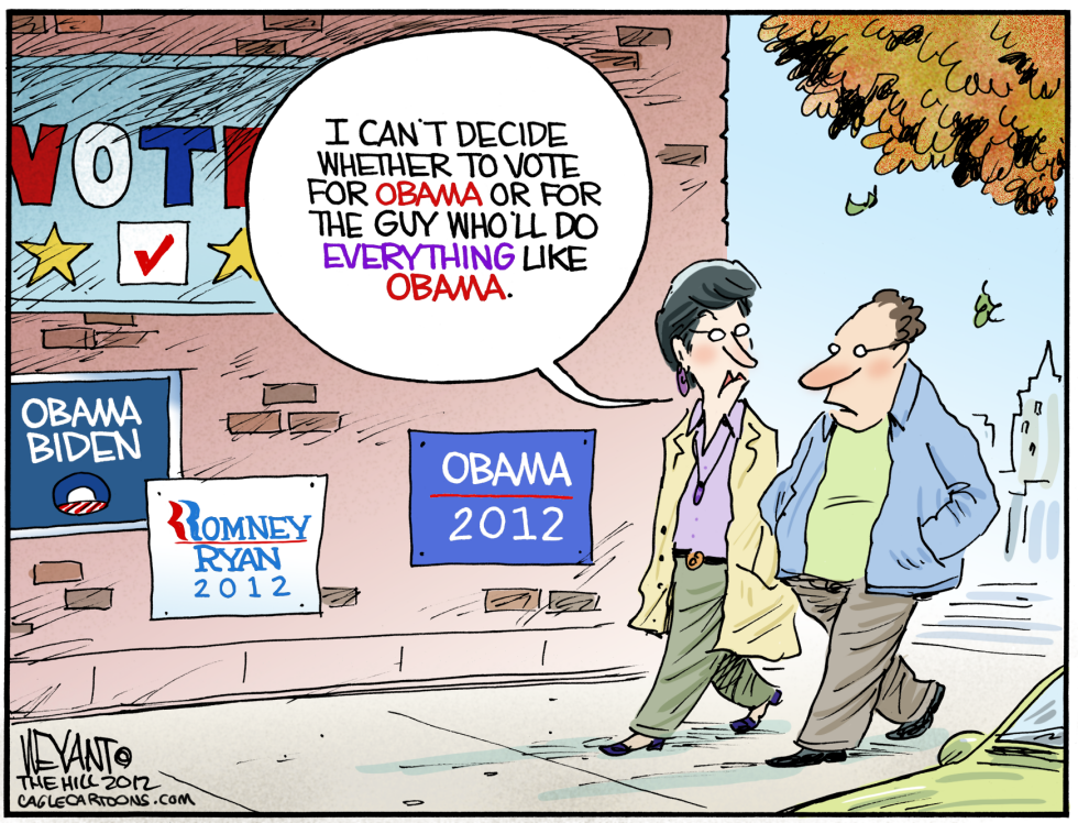 The Undecided Voter COLOR