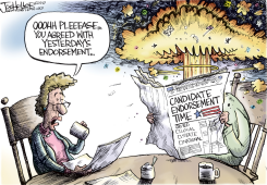 NEWSPAPER ENDORSEMENTS by Joe Heller
