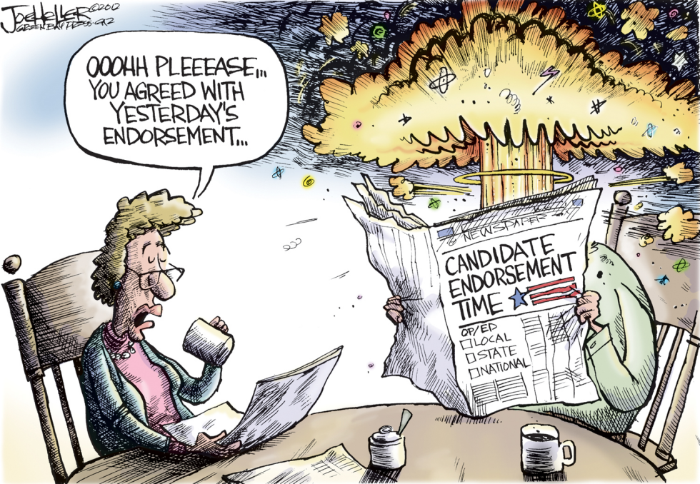 Newspaper Endorsements Cartoons