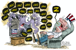 FOX NEWS AND LIBYA  by Daryl Cagle