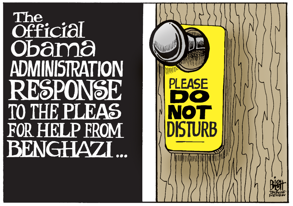 BENGHAZI RESPONSE, COLOR