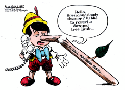 GLOBAL WARMING DENIAL by Jimmy Margulies