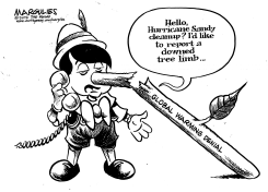 GLOBAL WARMING DENIAL by Jimmy Margulies