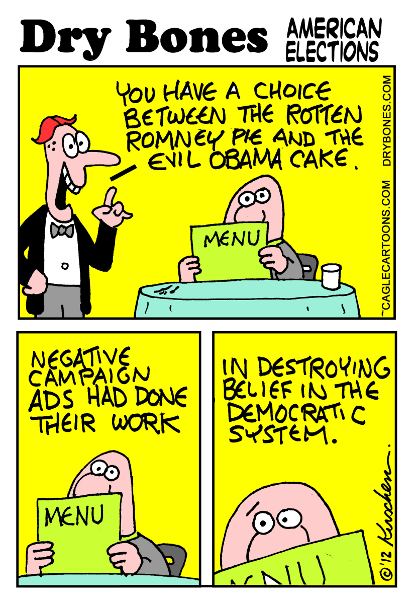 american elections