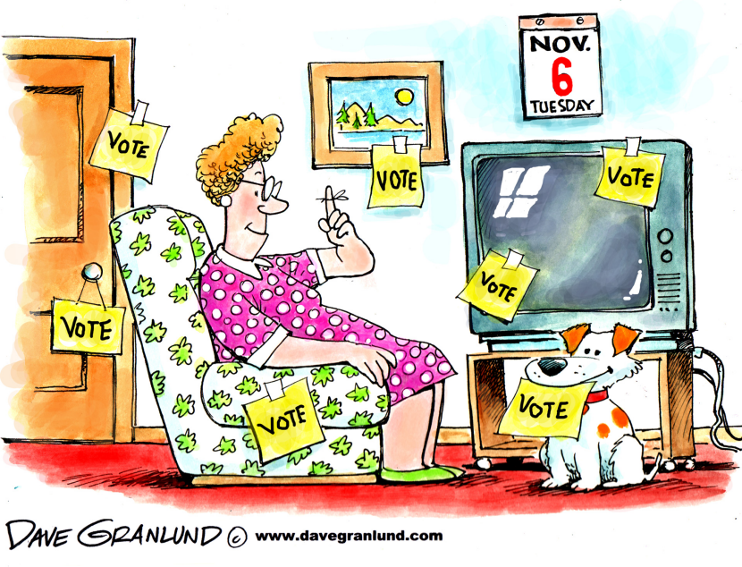 Vote November 6
