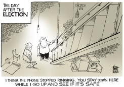 AFTER THE ELECTION,  by Randy Bish