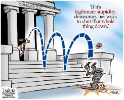 TODD AKIN LOSES  by John Cole