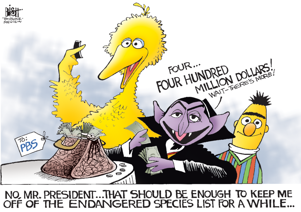 PBS FUNDING, COLOR