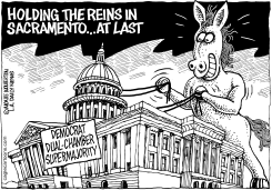LOCAL-CA DEM SUPERMAJORITY by Monte Wolverton