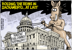 LOCAL-CA DEM SUPERMAJORITY by Monte Wolverton