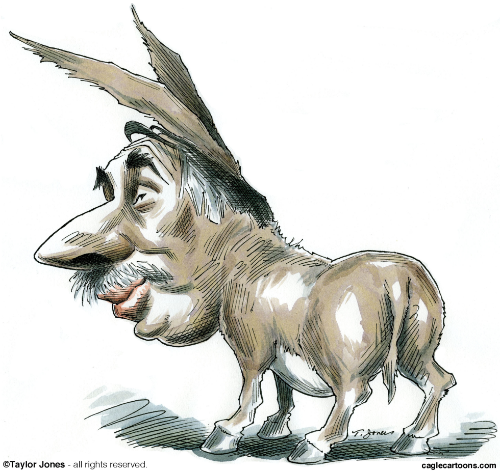 David Axelrod - Mr Democrat - COLOR
