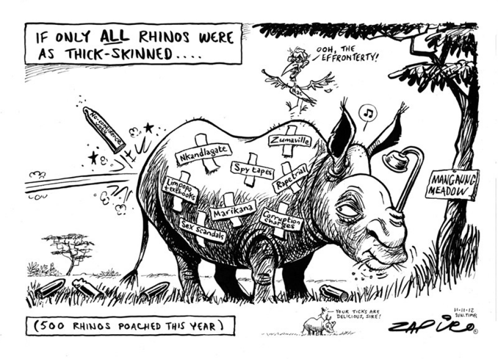 Poached Rhinos