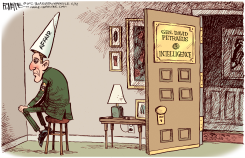 PETRAEUS AFFAIR  by Rick McKee