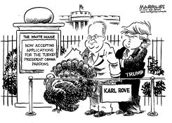 WHITE HOUSE TURKEY PARDON by Jimmy Margulies