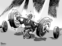 TEST FOR EGYPT by Paresh Nath