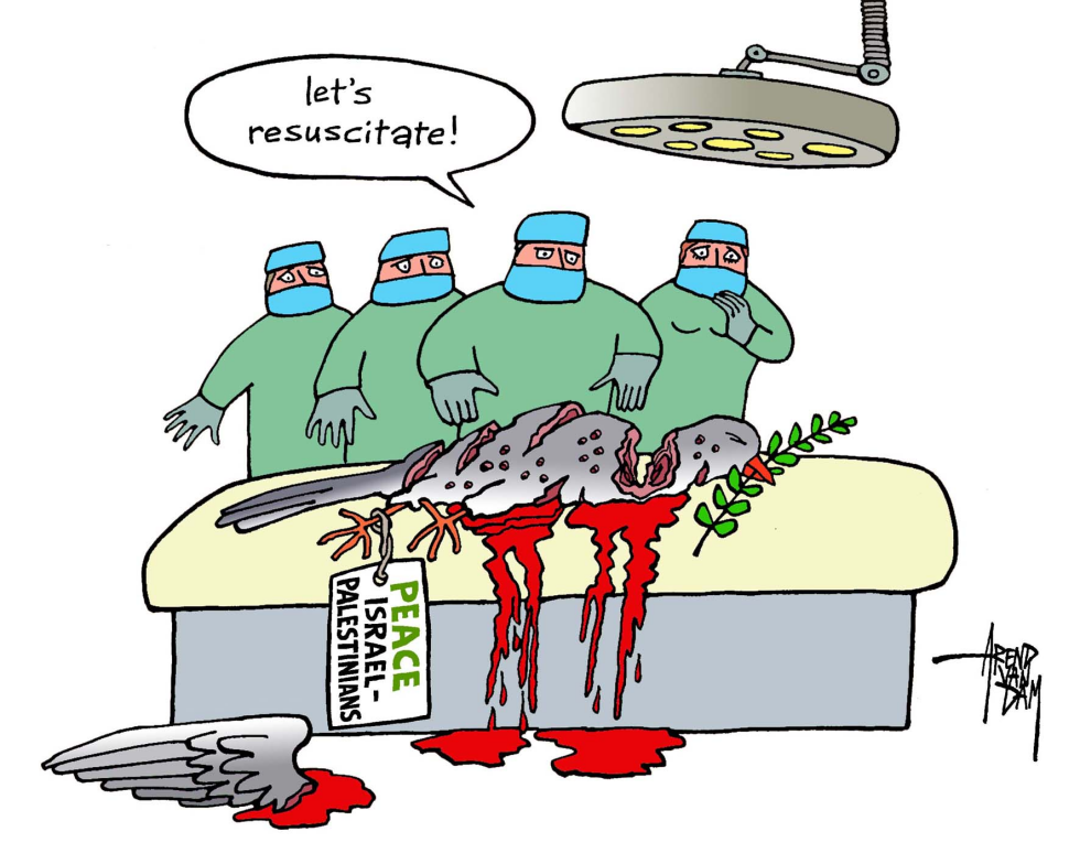 MidEast Peace Pigeon