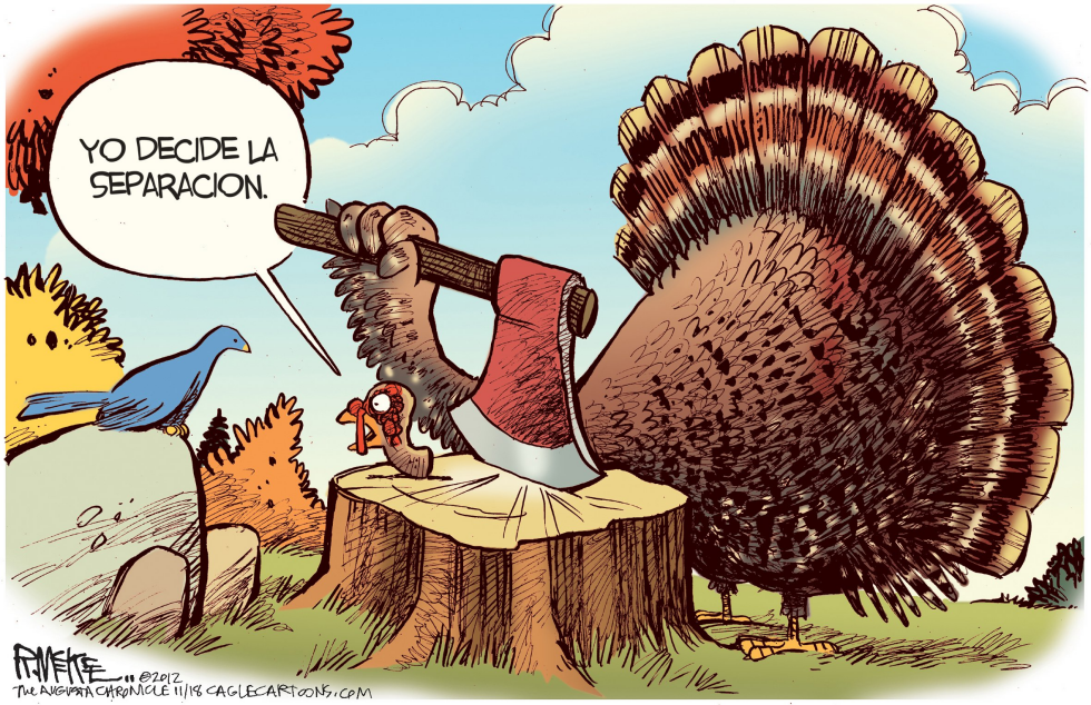  PAVO DE LA SECESION by Rick McKee