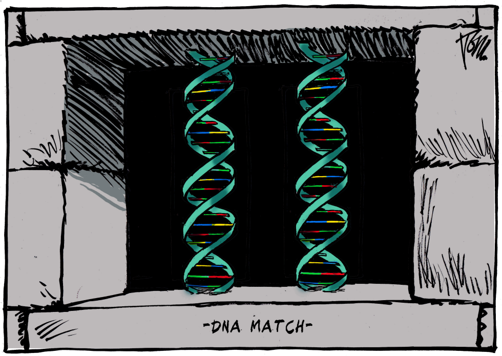 Cold case DNA match